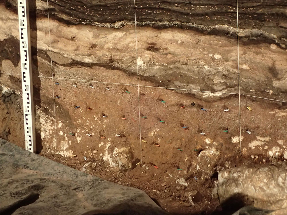 デニソワ洞窟の南洞の堆積層断面。
