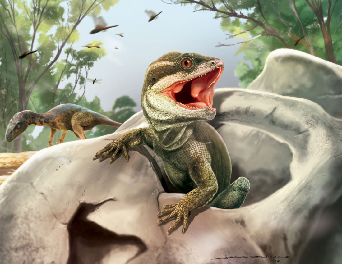 三畳紀のステム群鱗竜類<i>Taytalura alcoberi</i>の想像図。