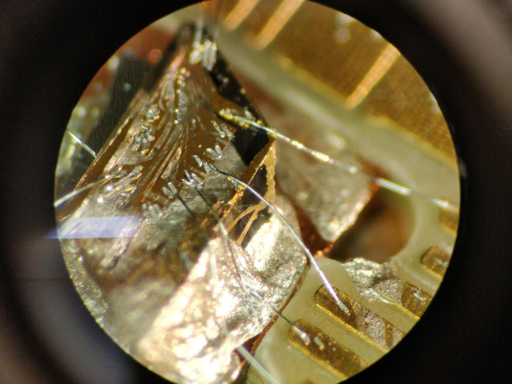 量子ノードとして用いられたダイヤモンドデバイスの光学顕微鏡画像。