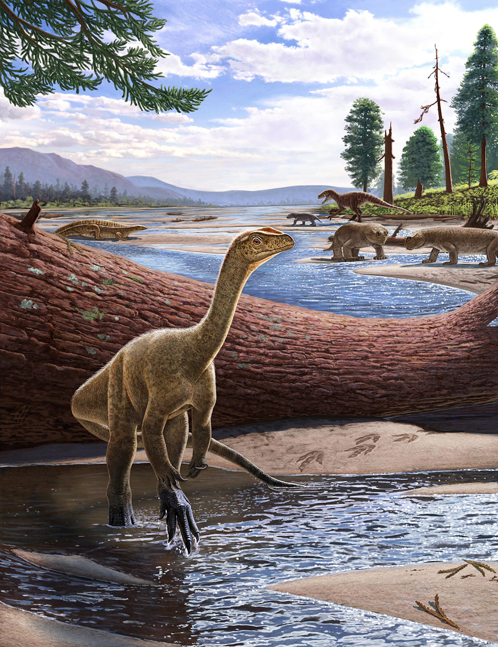 ジンバブエ北部で見つかった、三畳紀の新種の恐竜<i>Mbiresaurus raathi</i>の想像図。
