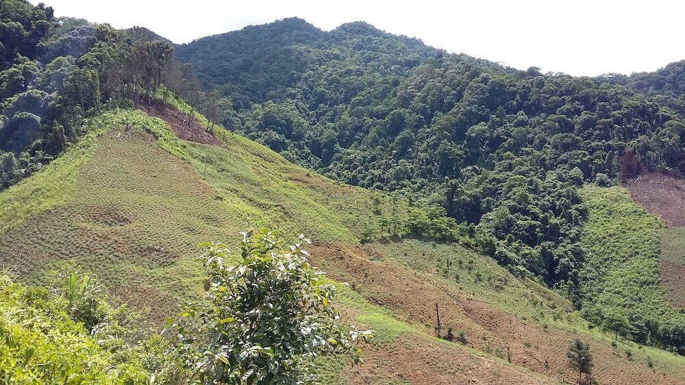 東南アジアの高地で最近伐採された熱帯森林。