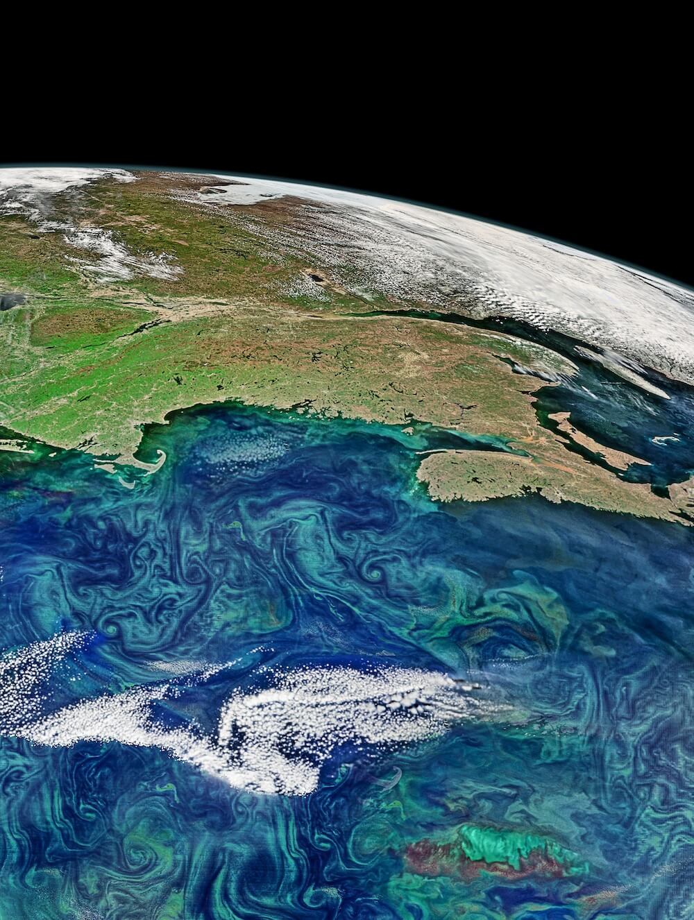 人工衛星が捉えた沿岸海域の植物プランクトンブルーム。