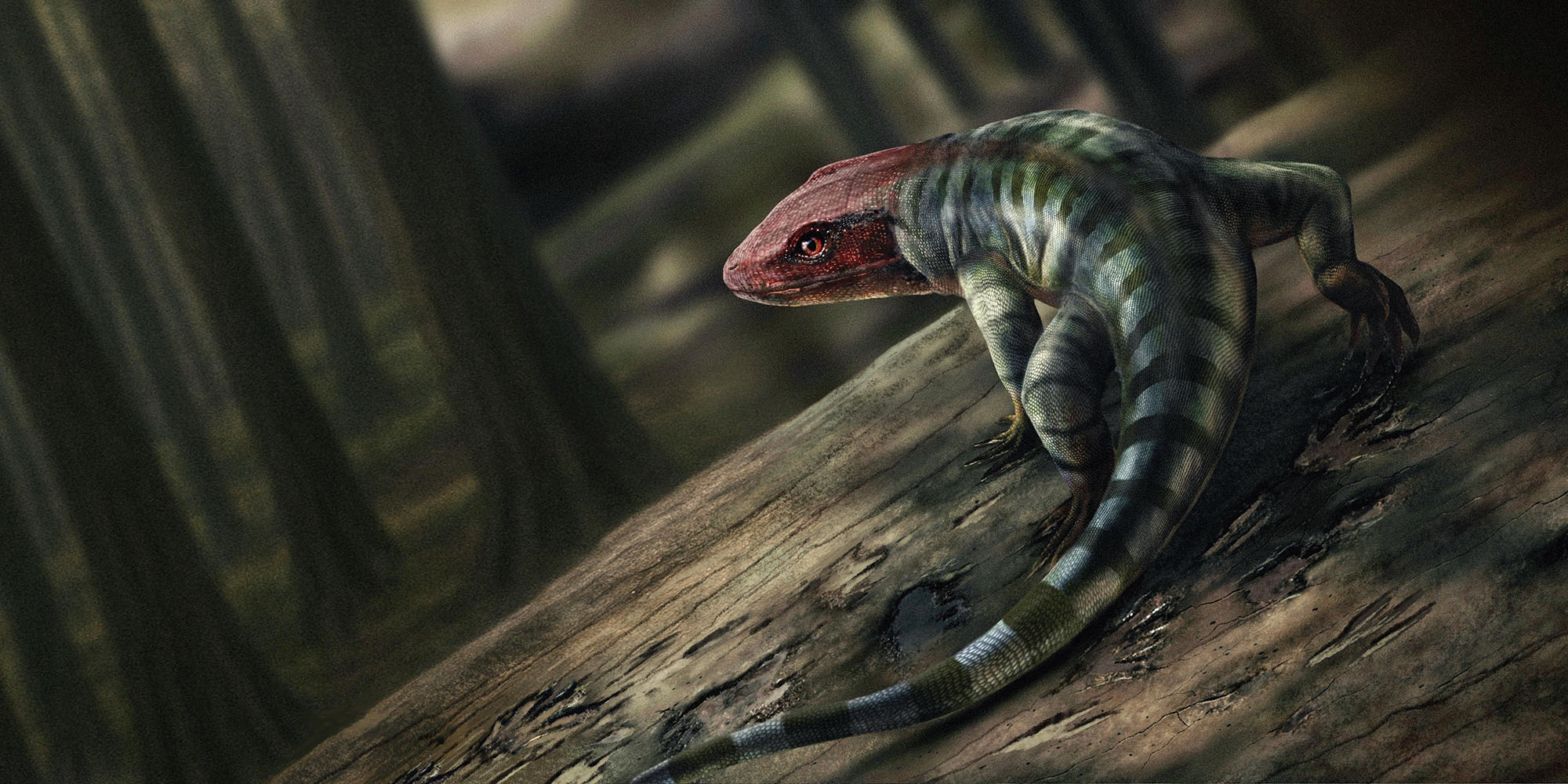 今回発見された足跡を残したと考えられる羊膜類の想像図。
