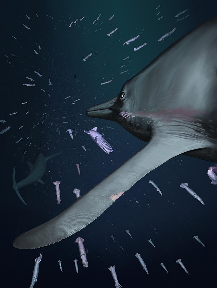 独特な鰭脚を持っていた、ジュラ紀の魚竜テムノドントサウルス(<i>Temnodontosaurus</i>)の想像図。