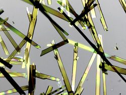 偏光顕微鏡を通して見た針状の強誘電体結晶。