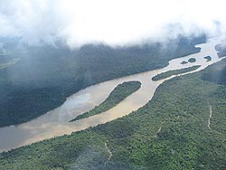アマゾン盆地を蛇行して流れる川。