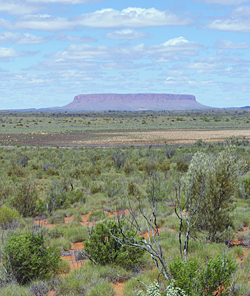 緑色化が進む、オーストラリア、ノーザンテリトリーの半乾燥生態系。