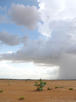 個々の嵐が発達するようす。雨季のサヘル地域（マリ）にて撮影。