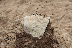 ロメクウィ3遺跡から出土した石器。