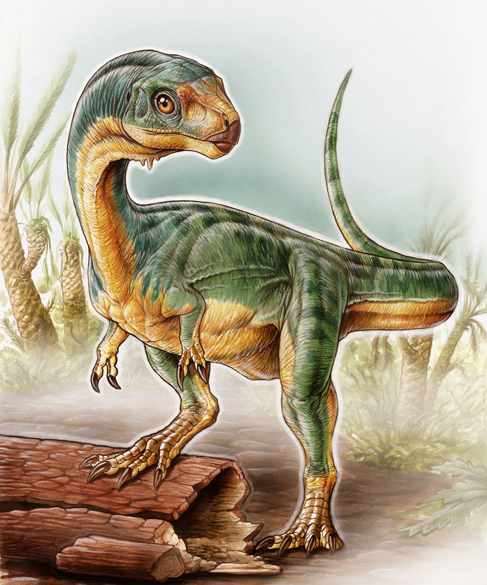 新種の植食性獣脚類<i>Chilesaurus diegosuarezi</i>（想像図）。