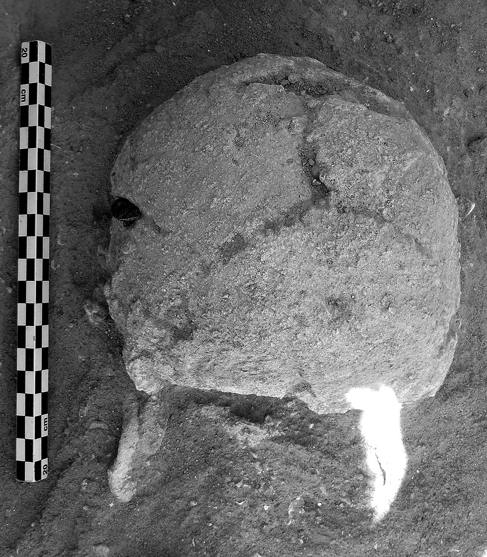 黒曜石の小石刃が食い込んだ状態で見つかった頭蓋骨。