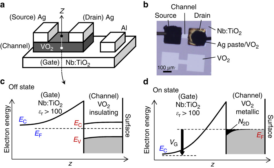 TiO2ゲート絶縁膜と極薄VO2チャネルを用いた金属絶縁体転移の正電圧ゲート変調