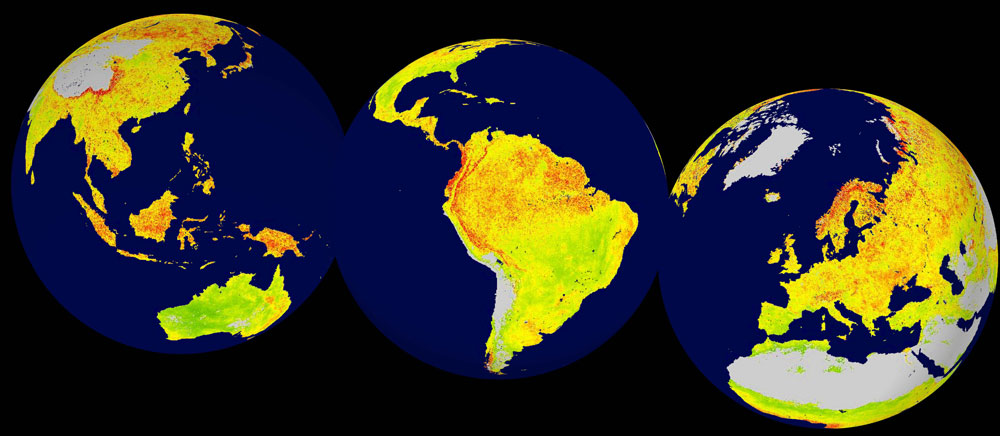 今回開発された「植生感受性指数（VSI）」の全球マップ。緑色の地域は感受性が比較的低く、赤色の地域は感受性が比較的高い。灰色は不毛な地域や氷で覆われている地域を示す。