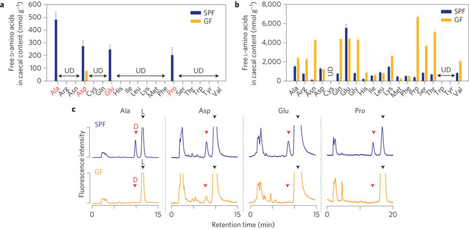 微生物の<small>D</small>-アミノ酸と宿主の<small>D</small>-アミノ酸酸化酵素の相互作用はマウスの粘膜防御および腸内微生物相を修飾する