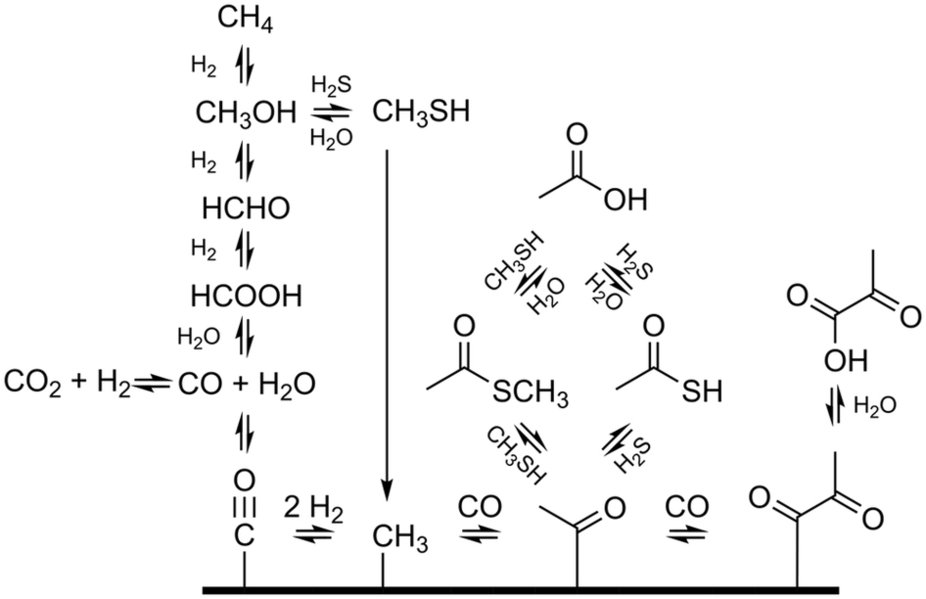 チオール化した酢酸塩誘導体の非生物的化学と生命の起源