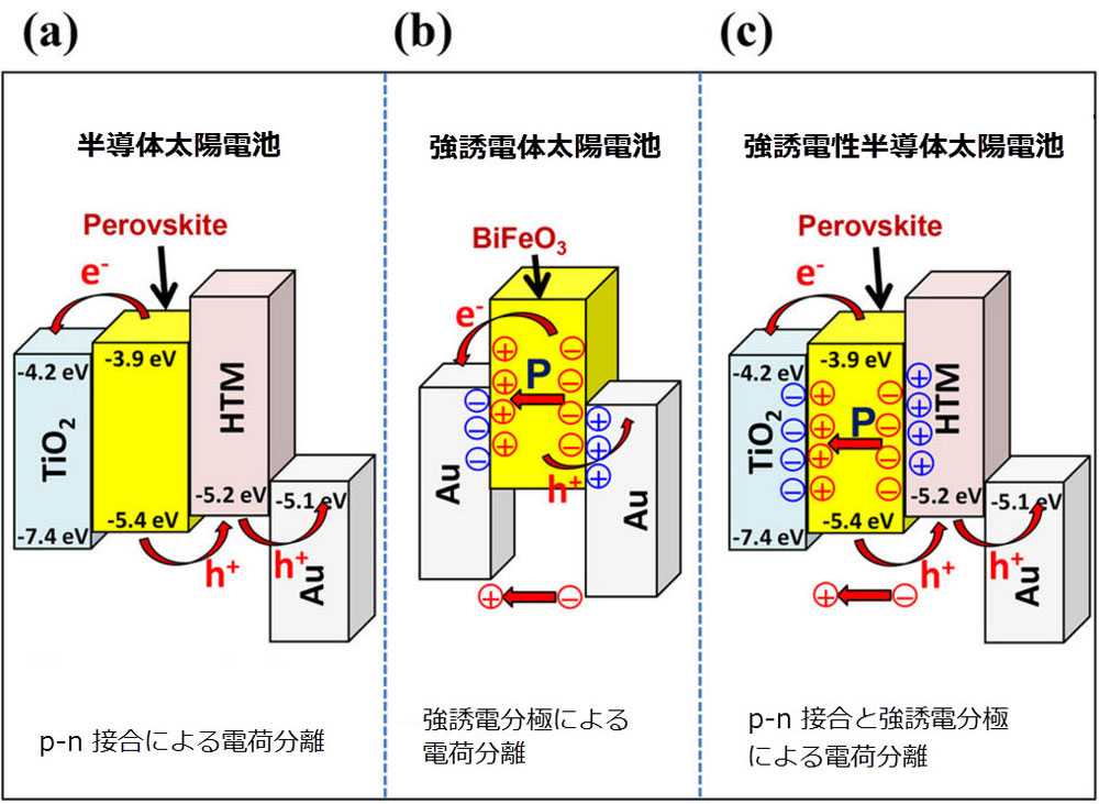 CH<sub>3</sub>NH<sub>3</sub>PbI<sub>3−x</sub>Cl<sub>x</sub>ペロブスカイトの反強誘電的性質とペロブスカイト太陽電池における電荷分離への影響
