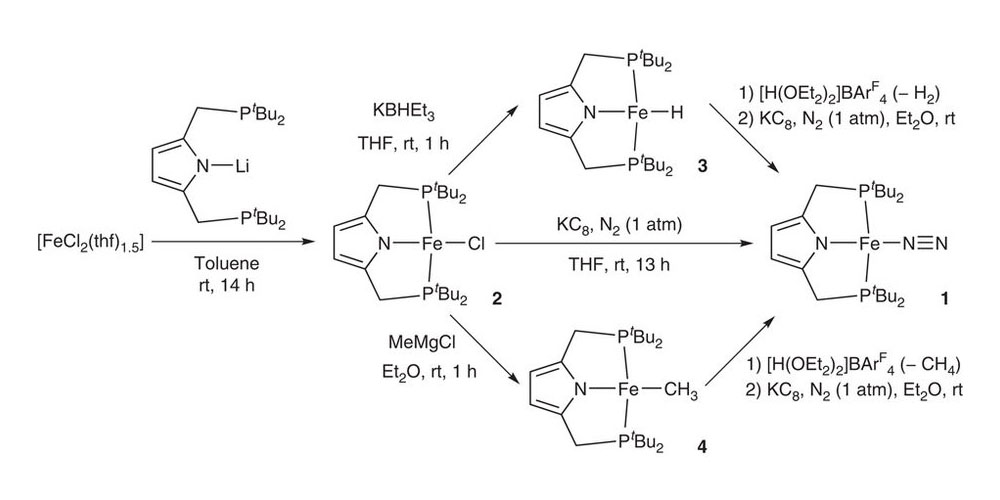 ピンサー配位子を持つ鉄-窒素錯体による窒素分子からアンモニアとヒドラジンへの触媒的変換反応