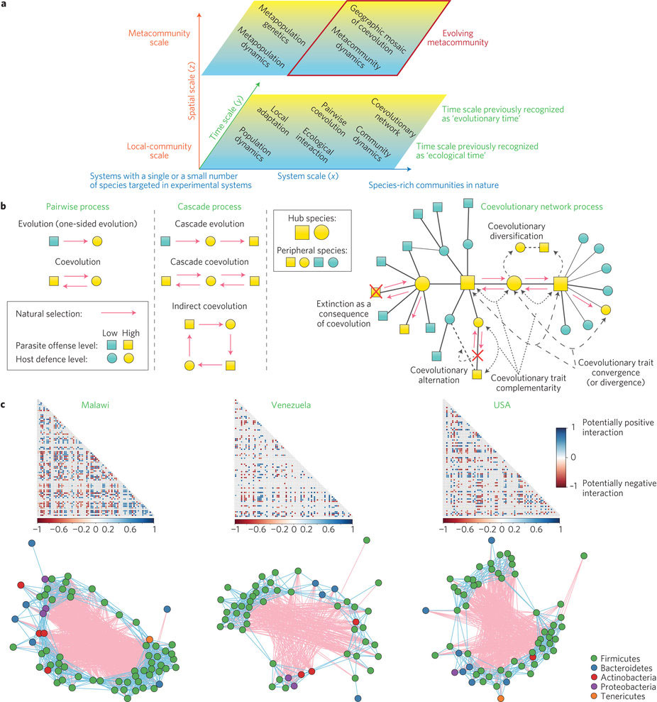種多様なネットワークとメタ群集レベルにおける生態学–進化学の統合