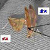 蛾のオスが近くのメスにだけ聞こえる超音波を出して求愛することを発見