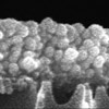 革新的な製造法で有機分子を超高速濾過できる多孔膜を開発