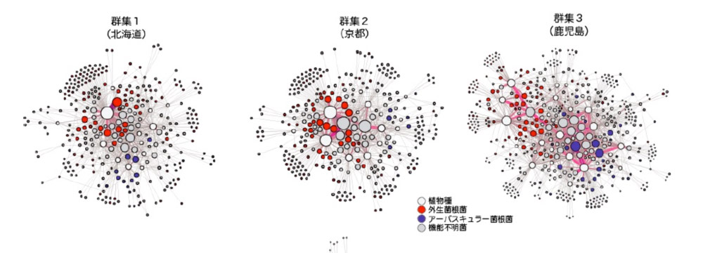 図1