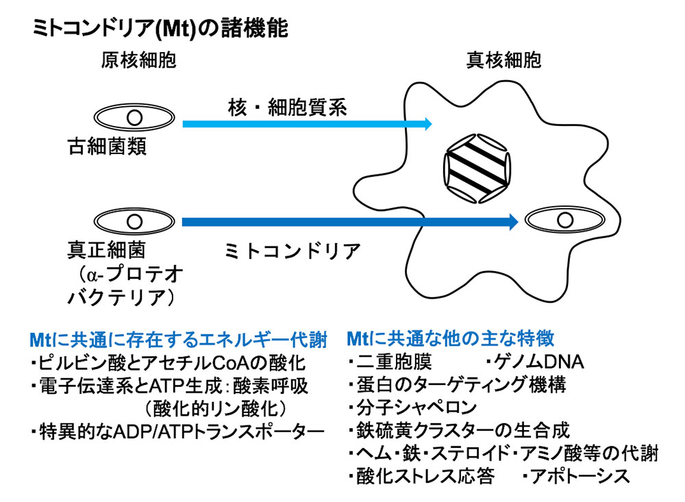 図1