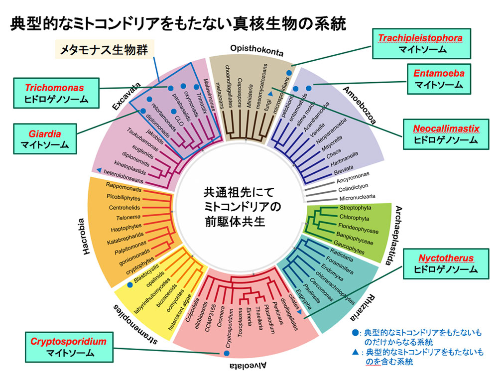 図2