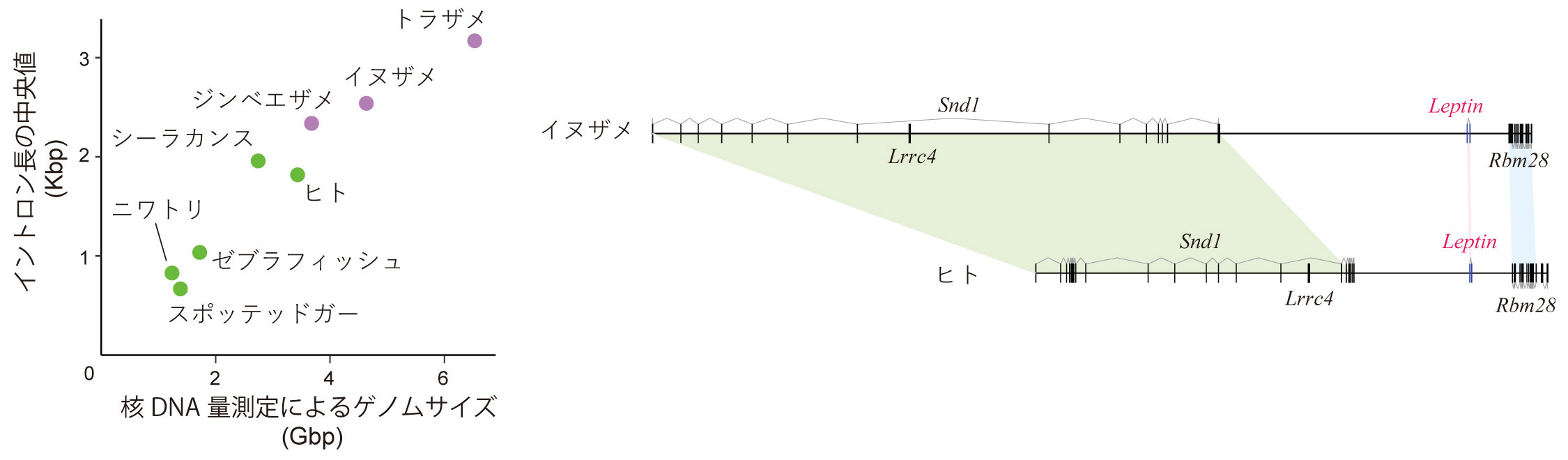 図2