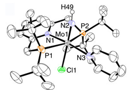 触媒的アンモニア生成反応におけるピンサー型配位子を持つ窒素架橋2核モリブデン錯体の特異な挙動