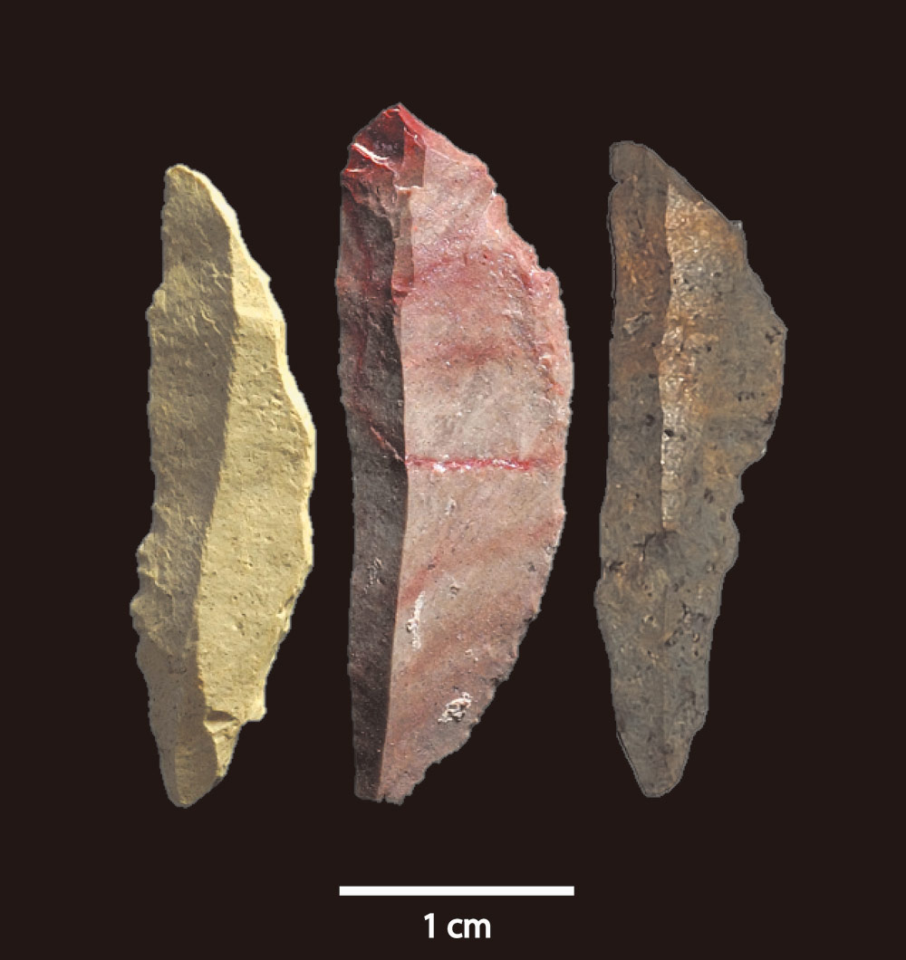 初期人類は細石器の伝統を伝えていた？ | Nature ダイジェスト