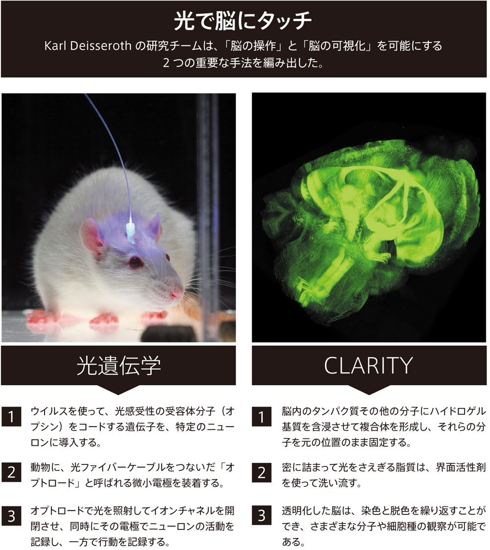 ☆ハイドロ水素発生装置!脳クリア体の組織活性化！☆ 革命的な科学の手法を生み出す男 | Nature ダイジェスト | Nature