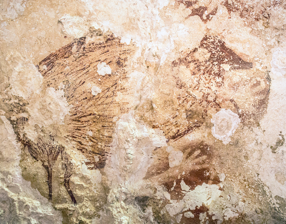 世界最古と分かった、インドネシアの洞窟絵画 | Nature