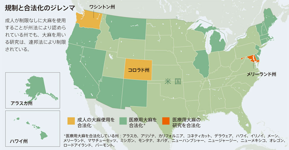 CD-ROM アンドリュー・ワイル　大麻取締法とは何か？大麻取締法を問う Amazon.co.jp: 悪法! ! 「大麻取締法」の真実 ~「金の卵」を意識