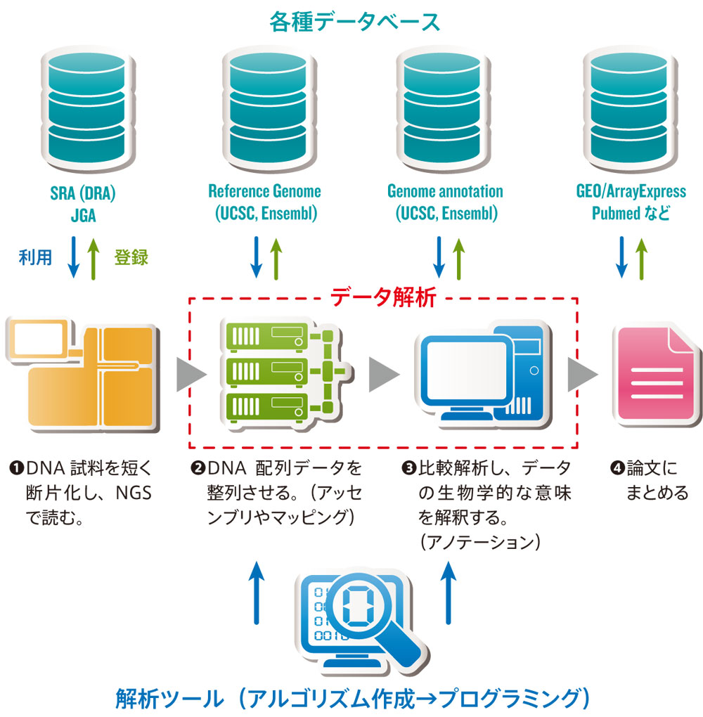 誰もが“バイオインフォマティシャン”の時代