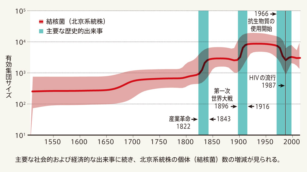 菌類の系統進化 (1978年) 菌類の系統進化 (1978年) 【公式通販】
