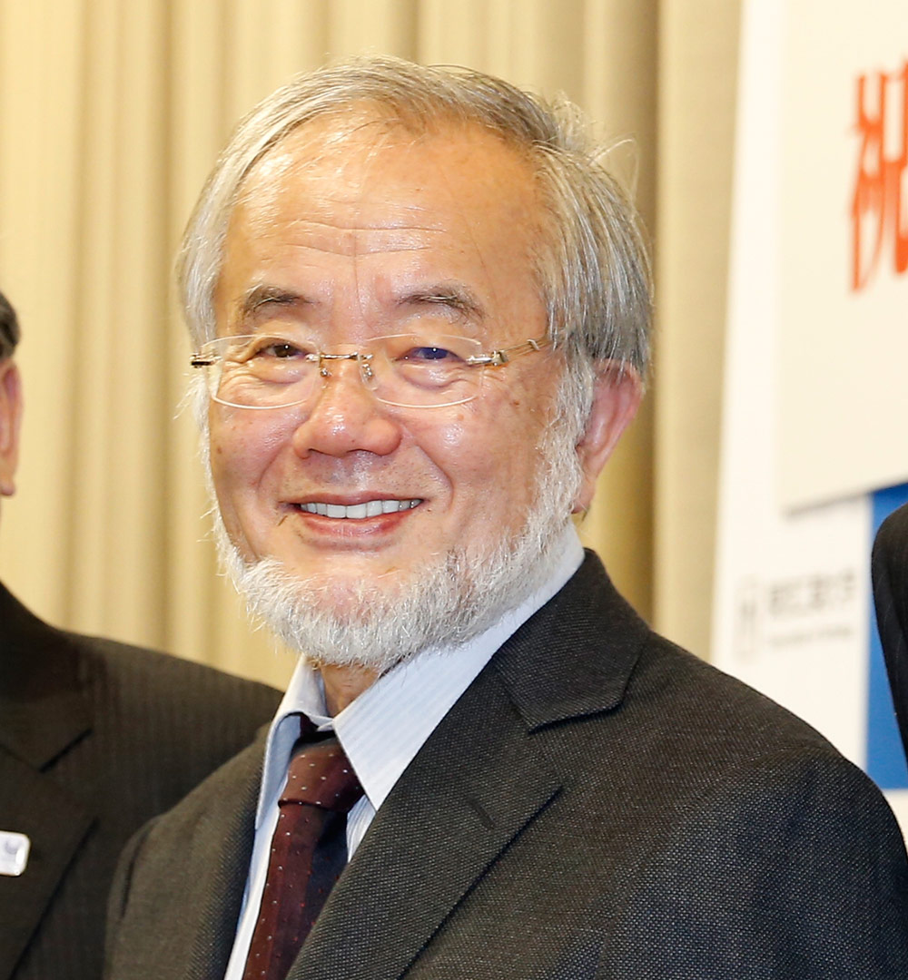 実験医学増刊：The オートファジー 研究者たちの集大成が見える