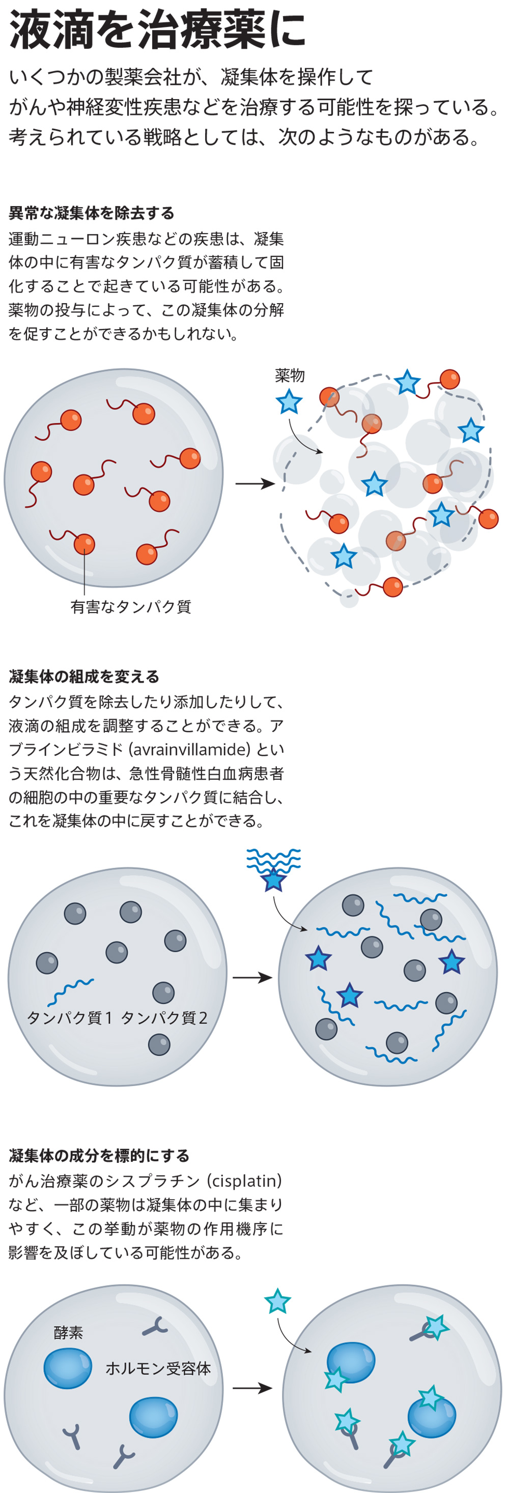 凝集状態とは | 集団凝集性 定義 : タンパク質溶液の理解と凝集体の形成の制御 – FRHK