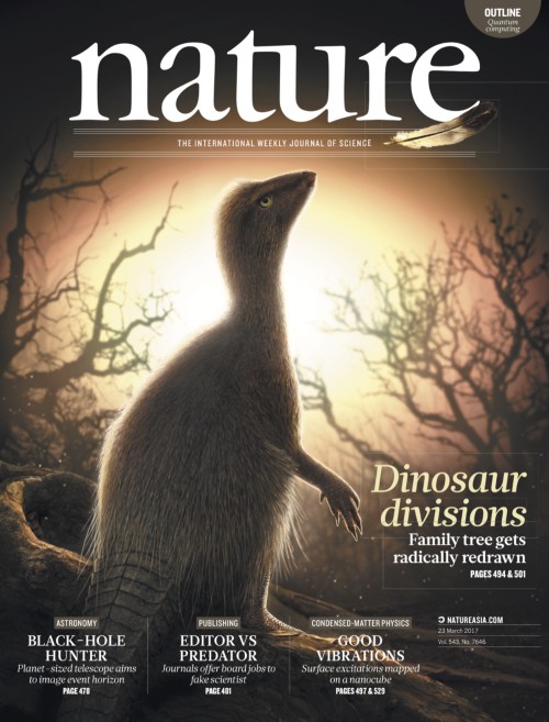 目次 | Nature ダイジェスト | Nature Portfolio