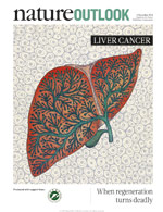Nature Outlook: Liver Cancer